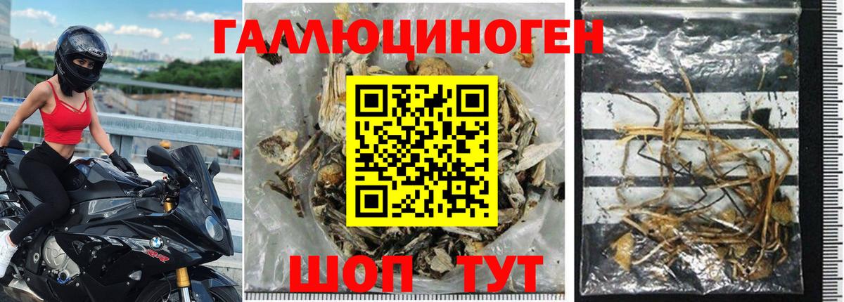 Псилоцибиновые грибы Psilocybe  Вход с VPN  Елец 