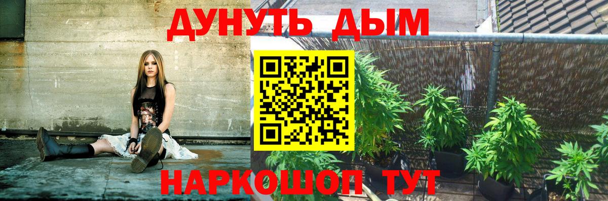 Шишки марихуана план Елец